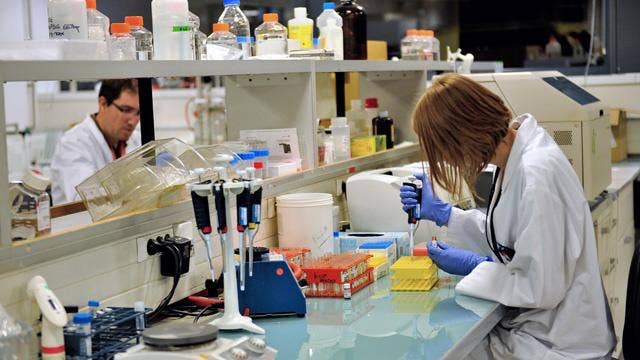 Healthcare professionals working in a laboratory.