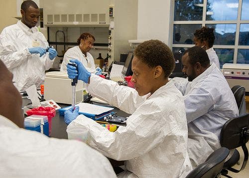 A group of technicians running tests in a laboratory.