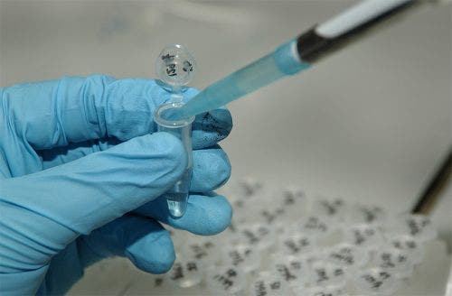 The gloved hand of a healthcare professional inserting fluid into a vial.